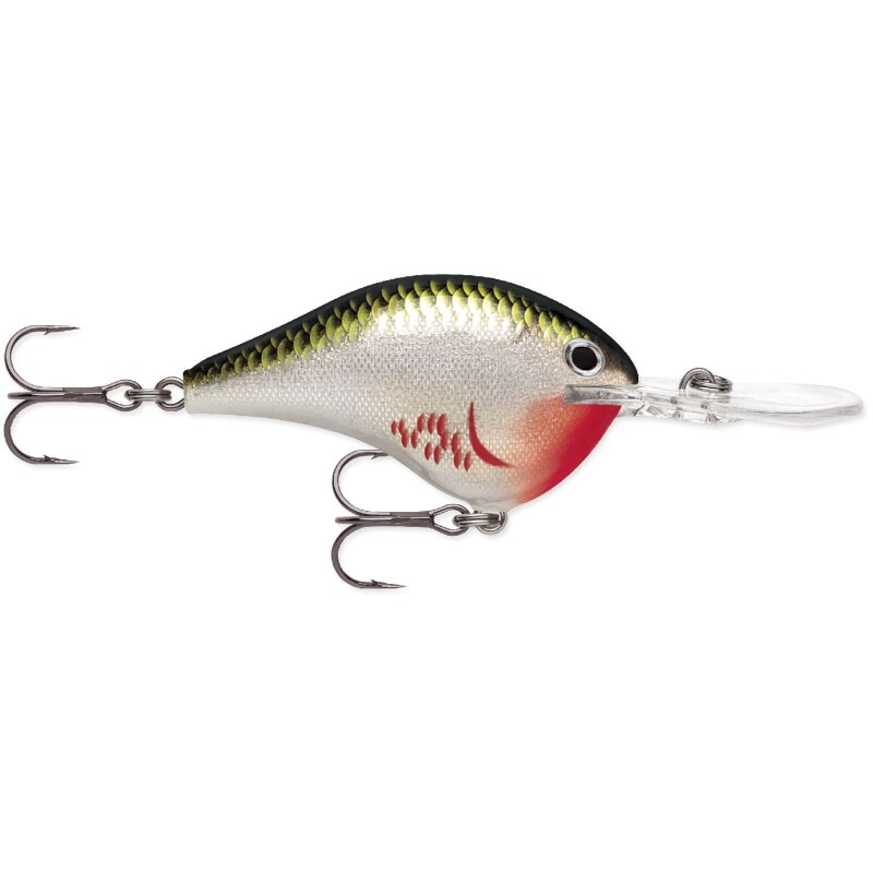 Rapala DT Dives-To 21g