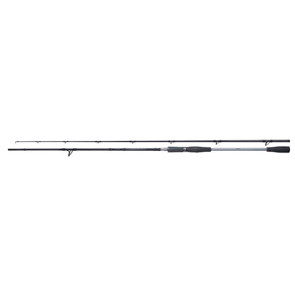 Rod Yasei Pike Spinning 2,50m  40-120g  2pc