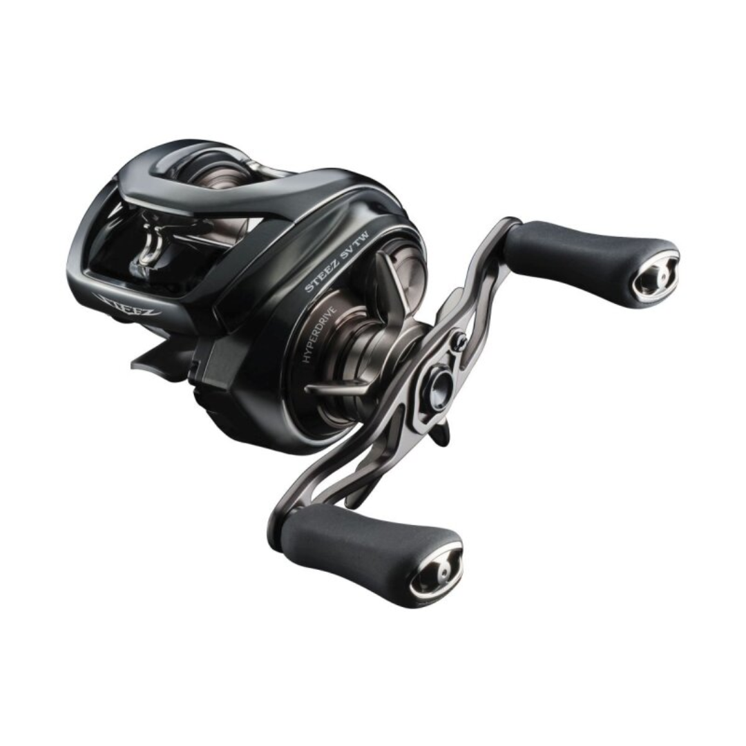 DAIWA 24 Steez SV TW 100XHL