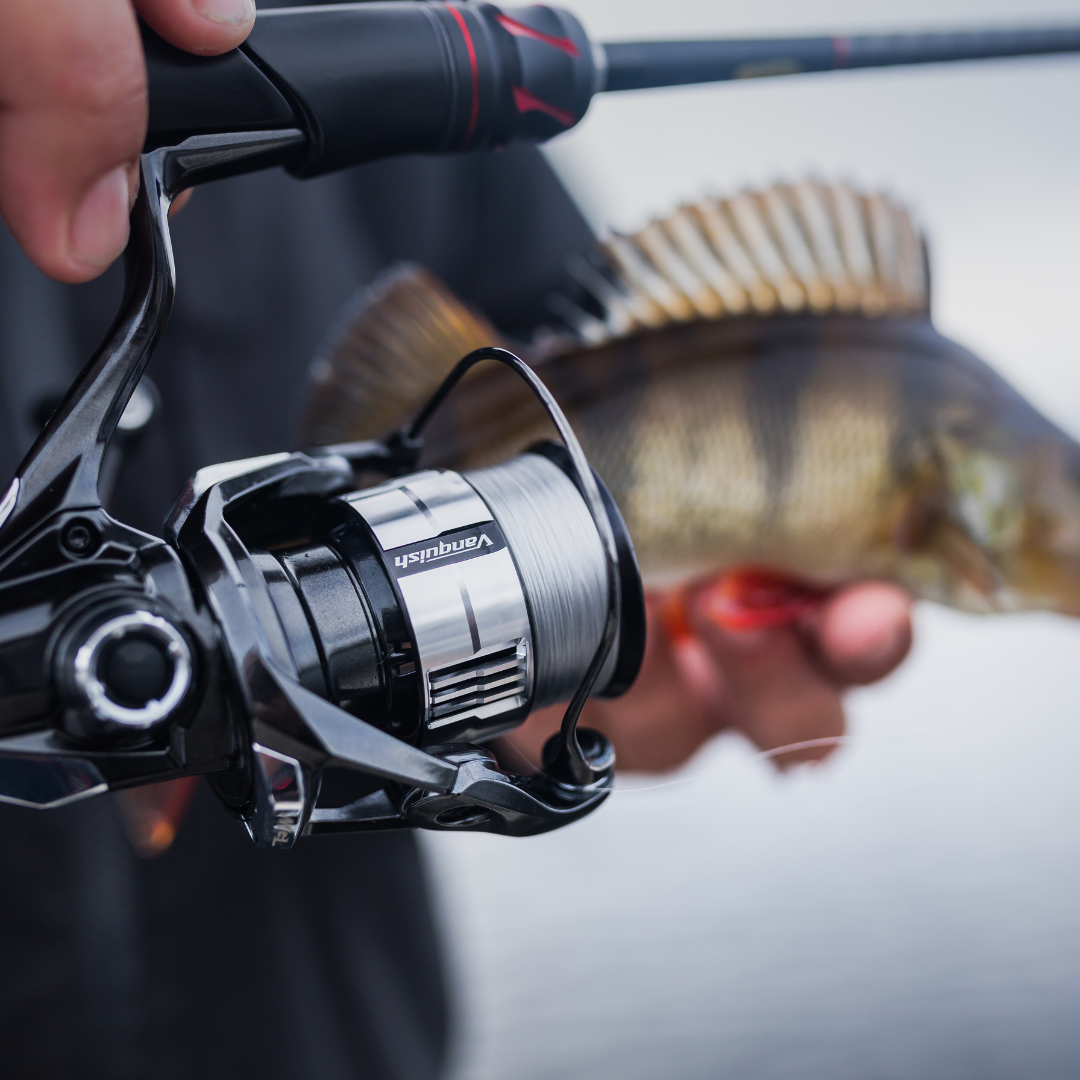 Shimano Vanquish FC C3000M HG